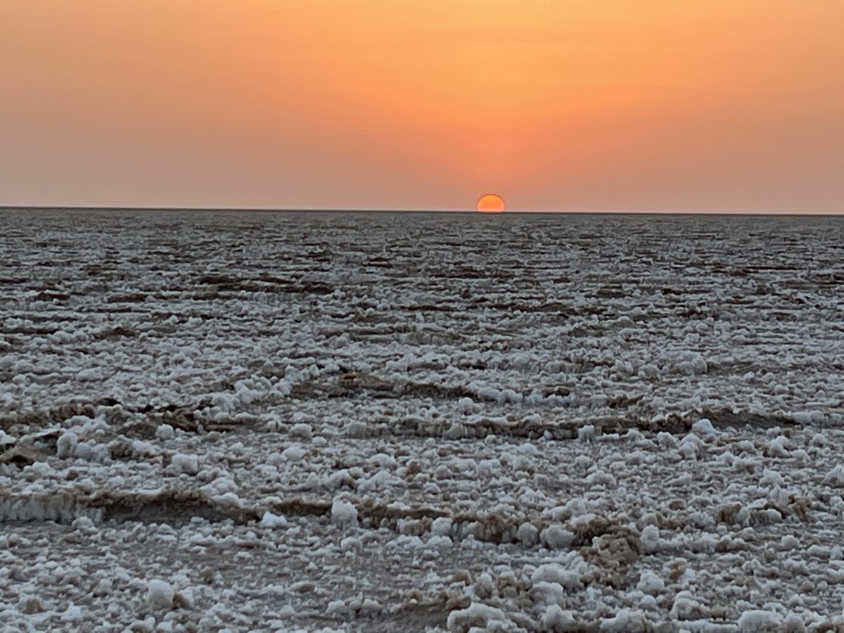 Desert-4