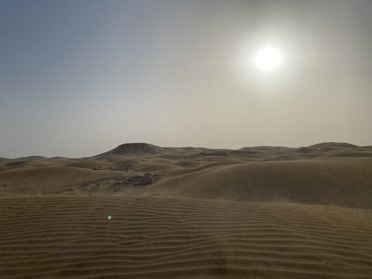 Desert-4